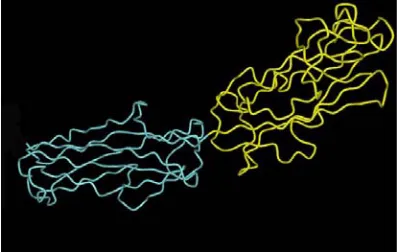 Fig. 3. Secondary structure prediction of chimeric protein (h: α helix, e: Extended strand t: β turn and c: Random coil)