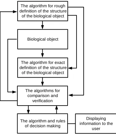 Fig. 11. The general approach to the HSC EIT BO operation