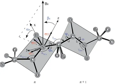 Figure 2.1 Local molecular frame associated with a peptide plane. The orientation of the 
