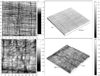 Fig. 2. 3D map of the surface of sample No. 1 after treatment of the surface with ODA
