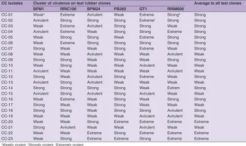 Table 3: Clustering of virulence level of 23 C. cassiicola isolates based on leaf wilting intensity on each and average to six test rubber clones which have a different resistance to CLF disease