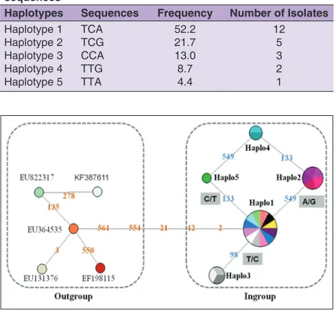 Table 4: Haplotype sequences and frequencies of 23 C. cassiicola isolates from Indonesia based on ITS‑rDNA sequences