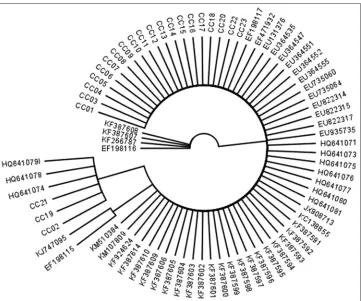 Fig 5. Phylogenetic tree of 23 C. cassiicola isolates from Indonesia (CC-01 to CC-23) and other countries from database based on ITS-rDNA sequences using the Neighbor-Joining (NJ) method.