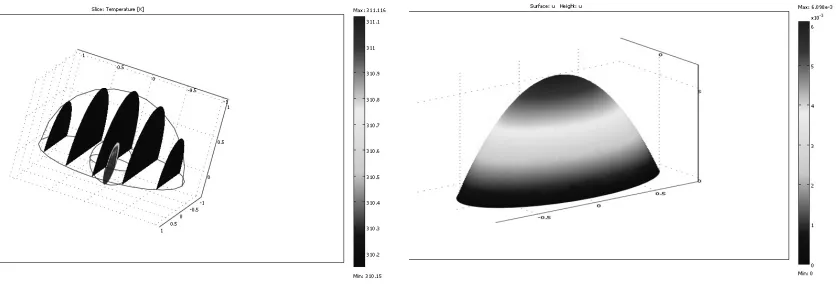 Fig. 2: 2D sub-domain model of tumour cell visualisation.