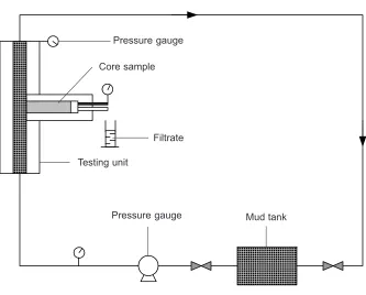 Figure 2Formation damage rig