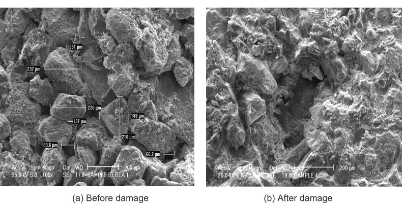 Figure 4The presence of microfractures after a Berea sandstone core sample damaged at 250 psi(1723.7 kPa) at an angle of 180°