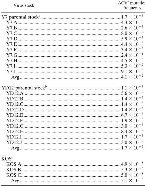 TABLE 5. Mutation frequencies of the tk genes induced bythe Exo III recombinant viruses