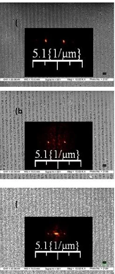 Fig. 1: SEM images (magnification 10.00 kX ) of the surface gratings fabricated with two beam interference pattern exposed on Si (100) in air at energy density 123 mJ/cm2 of 266 nm laser beam with number of laser pulses (a) 600, (b) 900 and (c) 1500