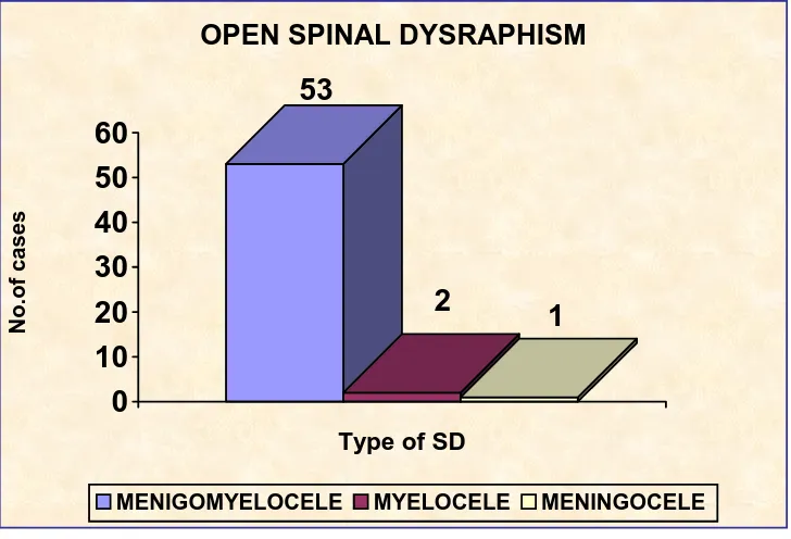 TABLE 2 OCCULT SPINAL DYSRAPHISM 