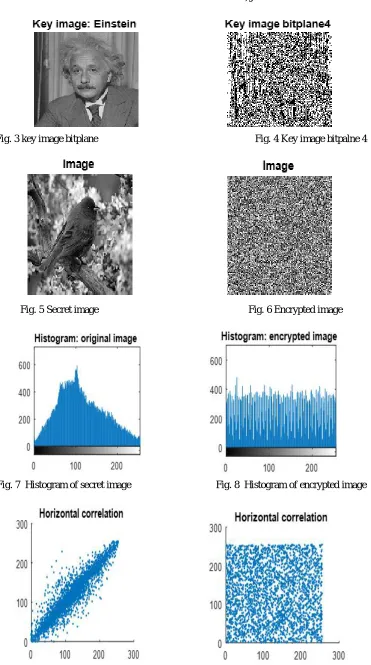 Fig. 3 key image bitplane                                                               Fig