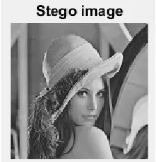 Fig. 13 Diagnonal correlation of secret image                Fig. 14  Diagnonal correlation of encrypted image 