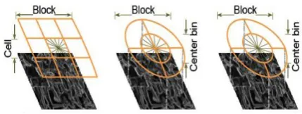 Fig 3: Variants of HOG descriptors. (a) A rectangular HOG (R-HOG) descriptor with 3 × 3 blocks of cells