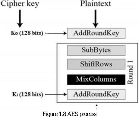 Fig 1.9 Home  Page 