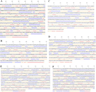 Fig. 2. Secondary structure prediction of OMPs by GOR4 server;A(BabA),B(BabB), C(AlpA), D(AlpB),E(SabA),F (SabB).