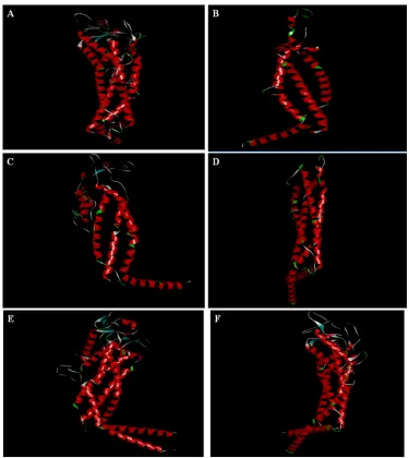 Fig. 3. Tertiary structure prediction of OMPs by CPH model server. Data are shown with DiscoveryStudioVisualizer;A(BabA), B(BabB), C(AlpA), D(AlpB),E(SabA), F(SabB).