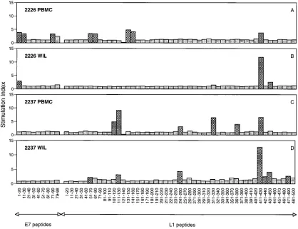 TABLE 3. T-cell epitopes recognized by wart-inﬁltrating T cells