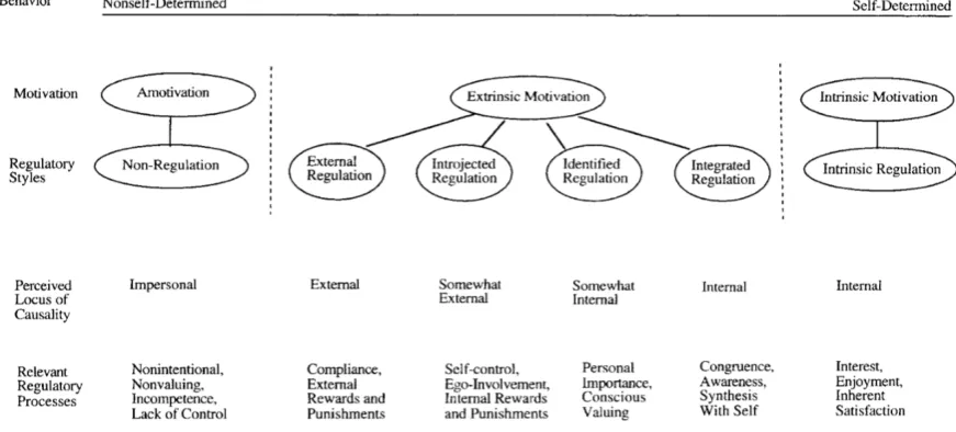 Figure 4: The self-determination continuum 