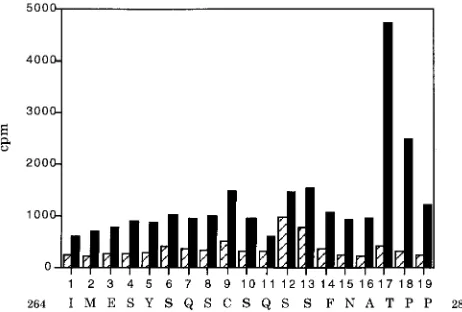 FIG. 5.cII andDNA (bp 5024 to 163). (A) Lane 1 is a control with pUCori and the CMVexpression vector without Py large T coding sequences