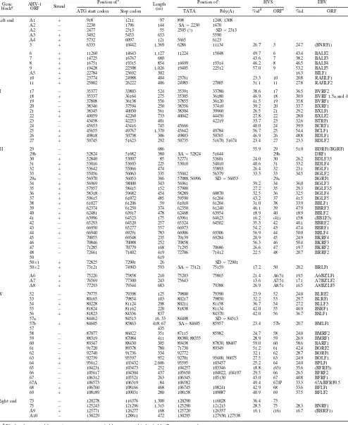 TABLE 1. AHV-1 ORFs and homologs to other herpesviruses
