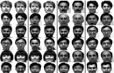 Fig 2. Eigen faces for normal images for variation in expressions  