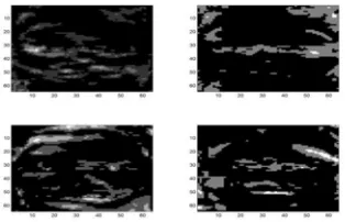 Fig. 4. Fisher faces 