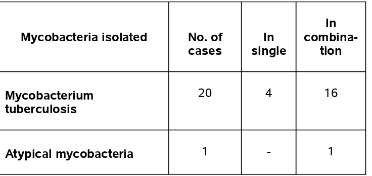 TABLE 10 - MYCOBACTERIA ISOLATED FROM HIV SERO-POSITIVE 