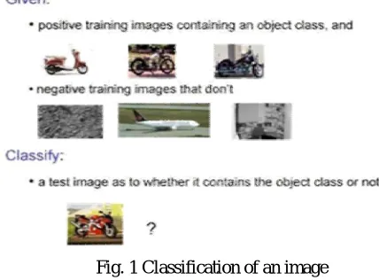 Fig. 1 Classification of an image 