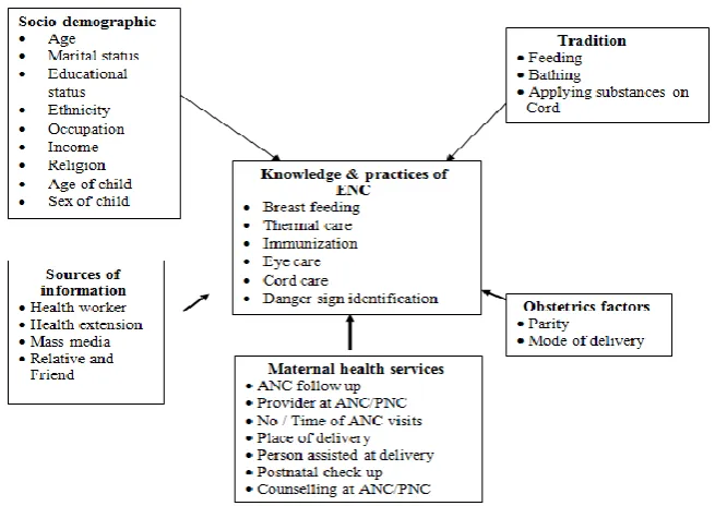 Figure 1: Conceptual framework on factors that affects ENC. 