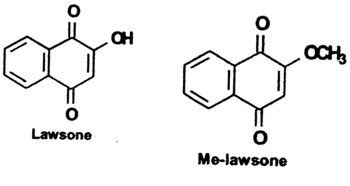 Figure 1.2 Lawsone and Me-lawsone chemical structures, found in roots cultures of I. 