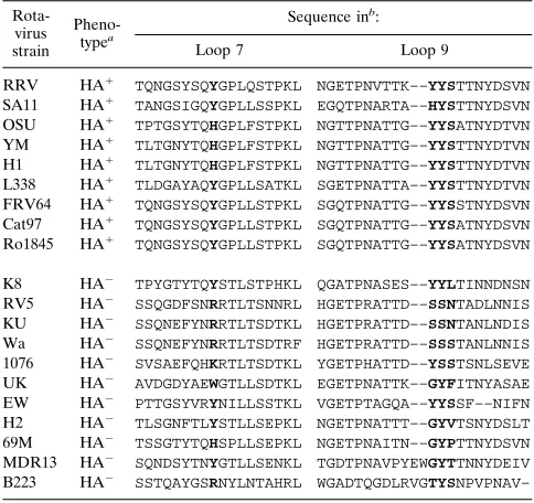 TABLE 2. Sequence alignment of the VP4 regions containing theamino acids proposed to be involved in binding to sialic acids