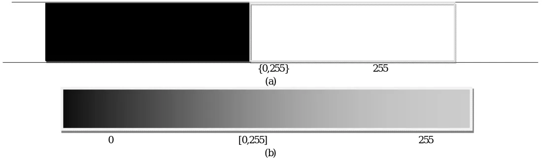 Figure 1: Representation of (a) Salt & Pepper Noise with Ri,j ∈ {nmin, nmax}, (b)Random Valued Impulsive Noise with Ri,j ∈ [nmin, nmax] 