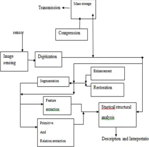 Fig 2. Different stages of image processing and analysis scheme 
