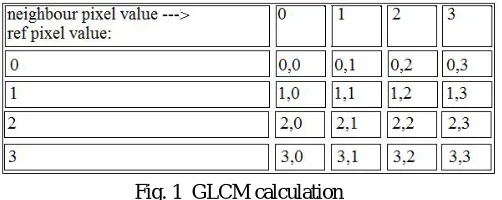 Fig. 1  GLCM calculation 