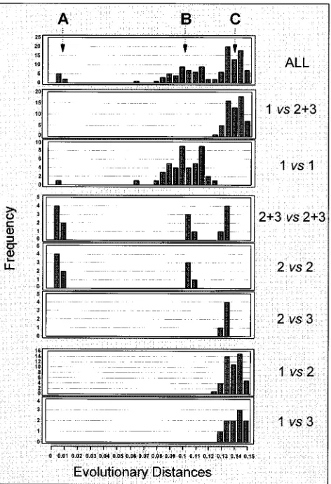FIG. 4. Frequency distribution of evolutionary distances between pairs ofnucleotide sequences of the entire 2.6-kb nonstructural region from 10 HGV