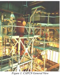 Figure 1: CAPCN General View 