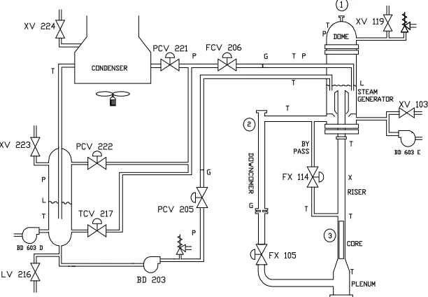 Figure 2: CAPCN Simplified Process and Instrumentation Diagram   