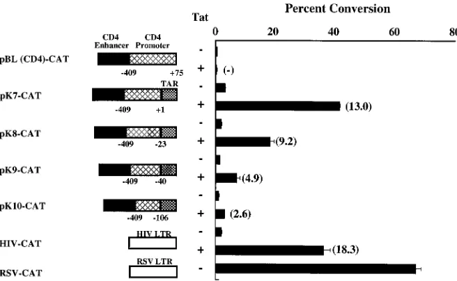 FIG. 2. Effects of the Sp1 sites (A) and CMV enhancer (B) on the transcrip-tional function of the CD4-TAR hybrid vector