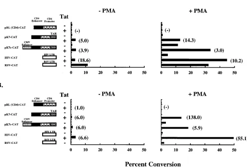 FIG. 3. CD4-TAR hybrid promoter-driven CAT expression in T-cell lines. Jurkat (A) or H9 (B) cells were transfected with different CAT expression vectors by theDEAE-dextran method