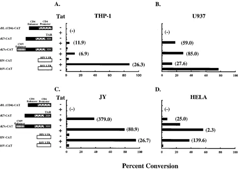 FIG. 4. CD4-TAR hybrid promoter-driven CAT expression in non-T cells. THP-1 (A), U937 (B), or JY (C) cells were transfected with the CAT expression vectorswith or without pHD101, using the DEAE-dextran method