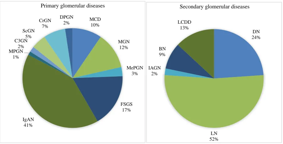 Figure 2: Distribution of primary and secondary glomerular diseases. 