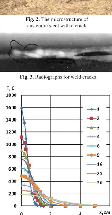 Fig. 2. The microstructure ofaustenitic steel with a crack