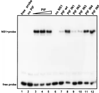 FIG. 7. Mutational analysis of the PIF-DNA interaction, using competitiveNS1-mediated origin nicking assays