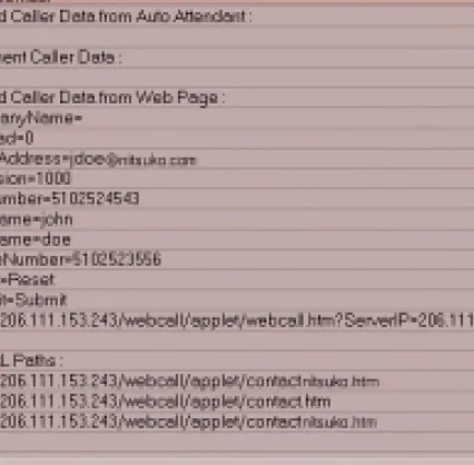 Figure 7. Caller Data window in N-TeliAgent