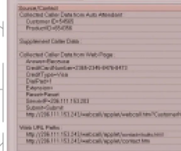 Figure 4. Caller Data window in NTeliAgent