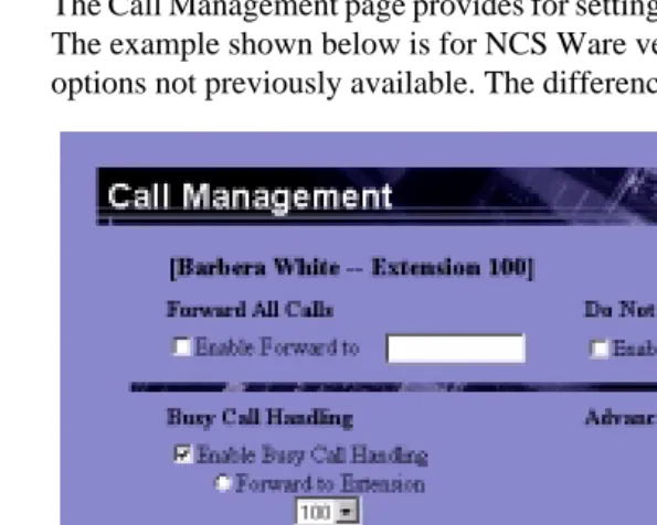 Figure 3.Call Management Setup page (Version 4.0)
