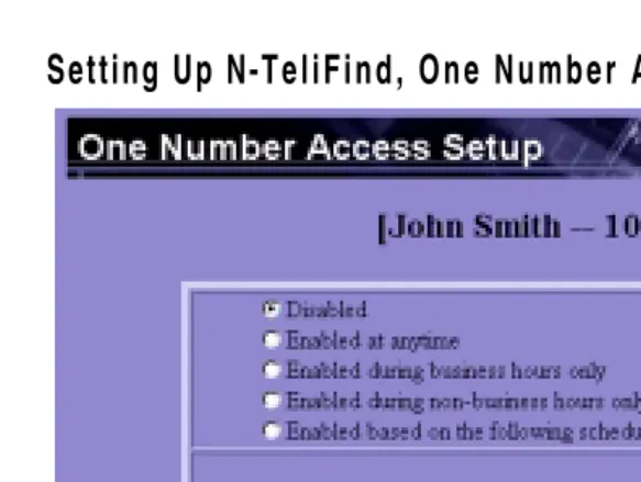 Figure 8.N-TeliFind, One Number Access Setup top of page