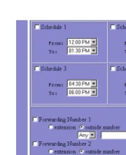 Figure 9.N-TeliFind, One Number Access Setup bottom of page (version 4.0)