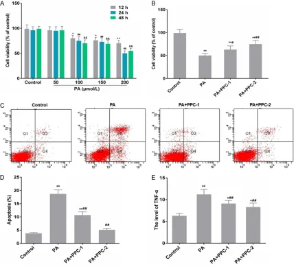 Figure 1. PPC impacts on cell viability, cell apoptosis and the level of TNF-α in HepG2 cells with PA pre-treatment