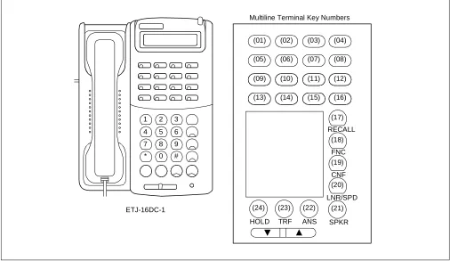 Figure 1-1  Multiline Terminal Key Numbers (Continued) 