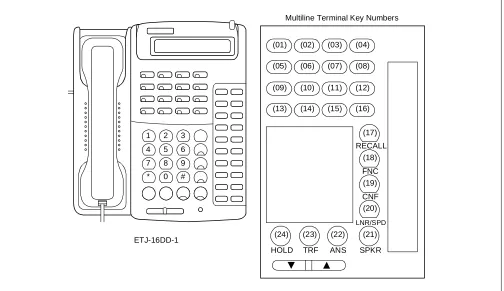 Figure 1-1  Multiline Terminal Key Numbers (Continued)